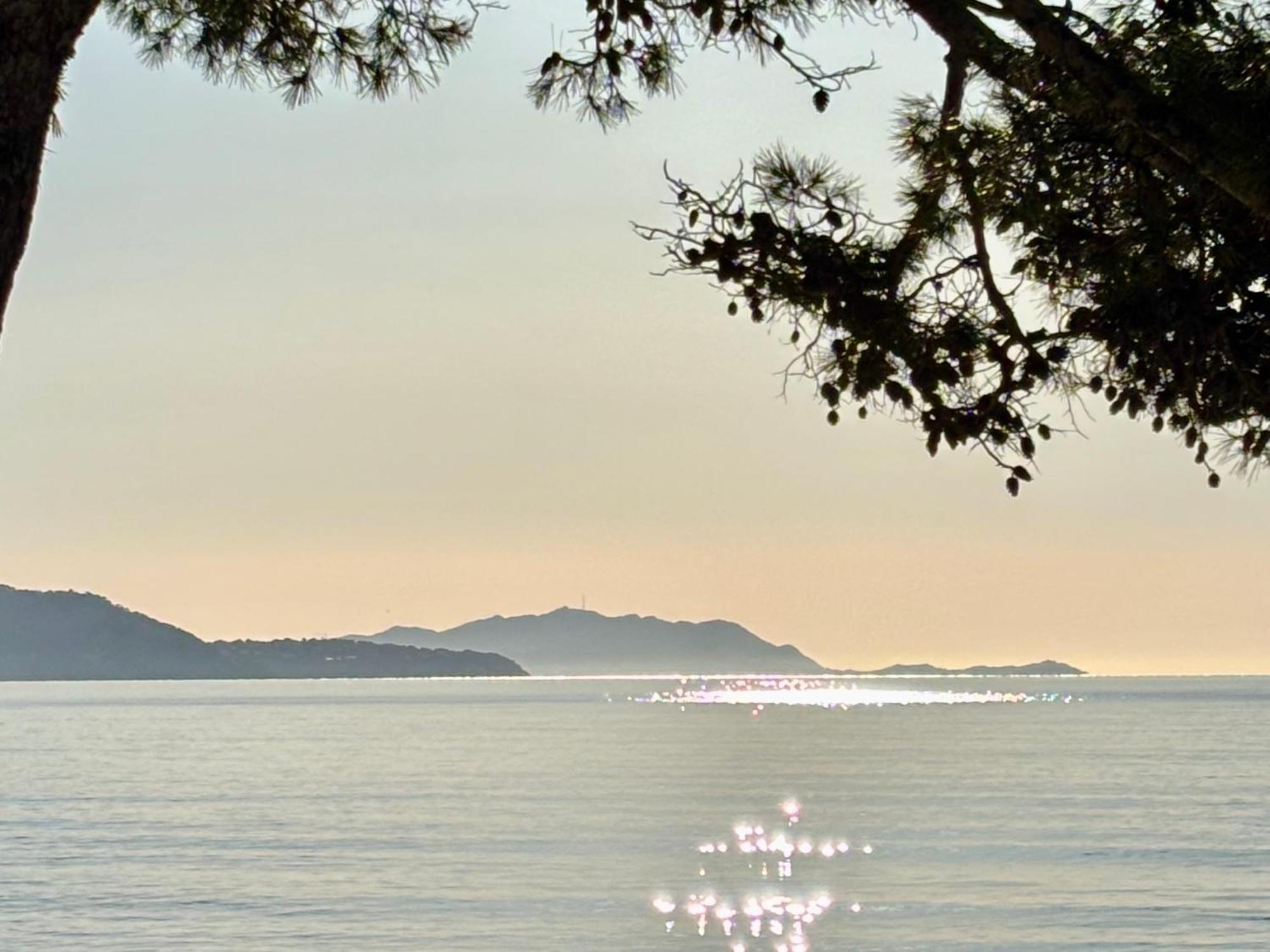 Aloha Climatise Parking By Laconciergerie13 Λα Σιοτά Εξωτερικό φωτογραφία